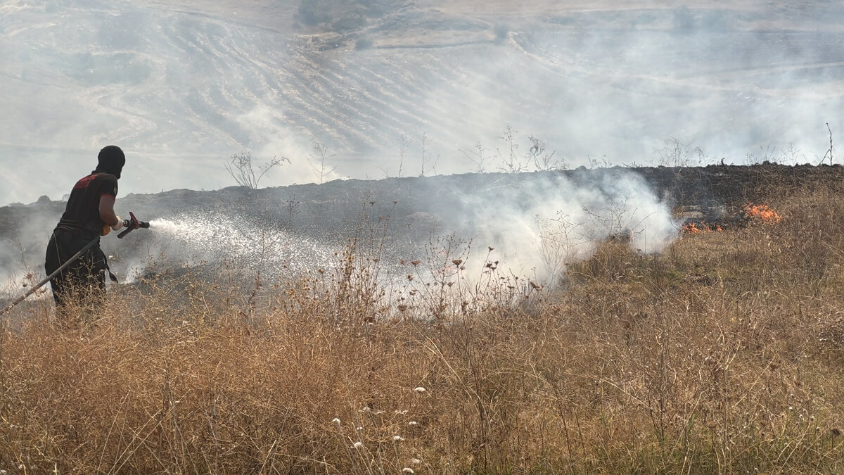 2024 yılında çok sayıda örtü yangını çıktı