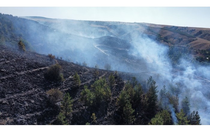 Alaca ilçesi Büyüksöğütözü köyü içindeki otluk alanda henüz belirlenemeyen bir sebeple yangın çıktı (1)