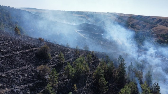 Alaca ilçesi Büyüksöğütözü köyü içindeki otluk alanda henüz belirlenemeyen bir sebeple yangın çıktı (1)