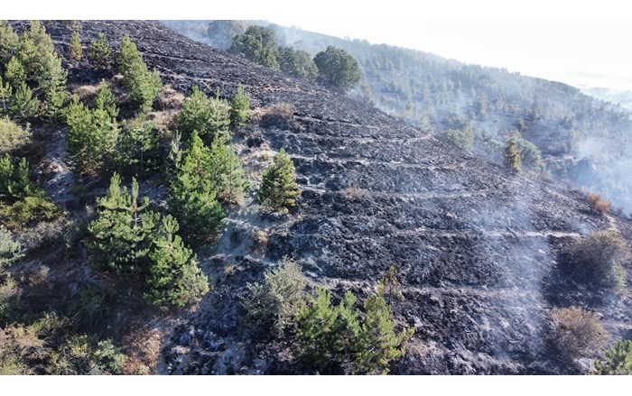 Alaca ilçesi Büyüksöğütözü köyü içindeki otluk alanda henüz belirlenemeyen bir sebeple yangın çıktı (2)
