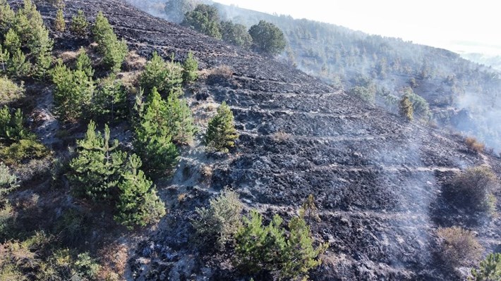 Alaca ilçesi Büyüksöğütözü köyü içindeki otluk alanda henüz belirlenemeyen bir sebeple yangın çıktı (2)