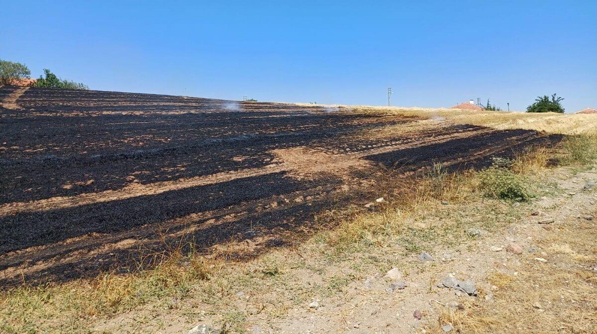 Alaca İlçesinde çıkan anız yangını, yerleşim alanlarına sıçramadan kontrol altına alındı (2)