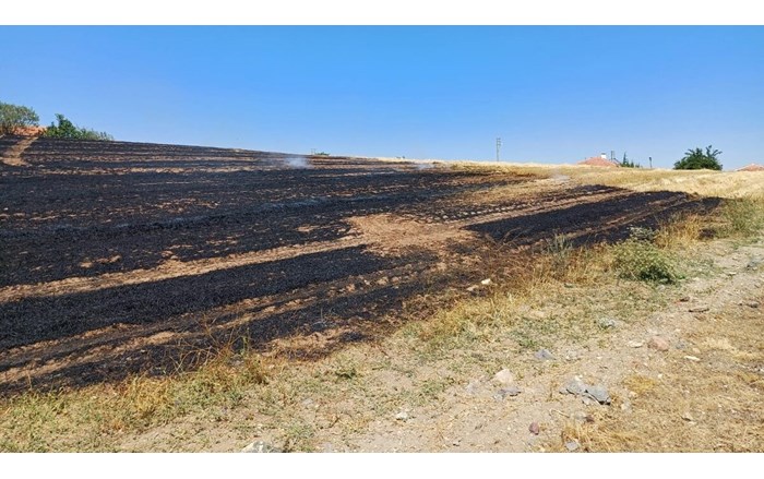 Alaca İlçesinde çıkan anız yangını, yerleşim alanlarına sıçramadan kontrol altına alındı (2)