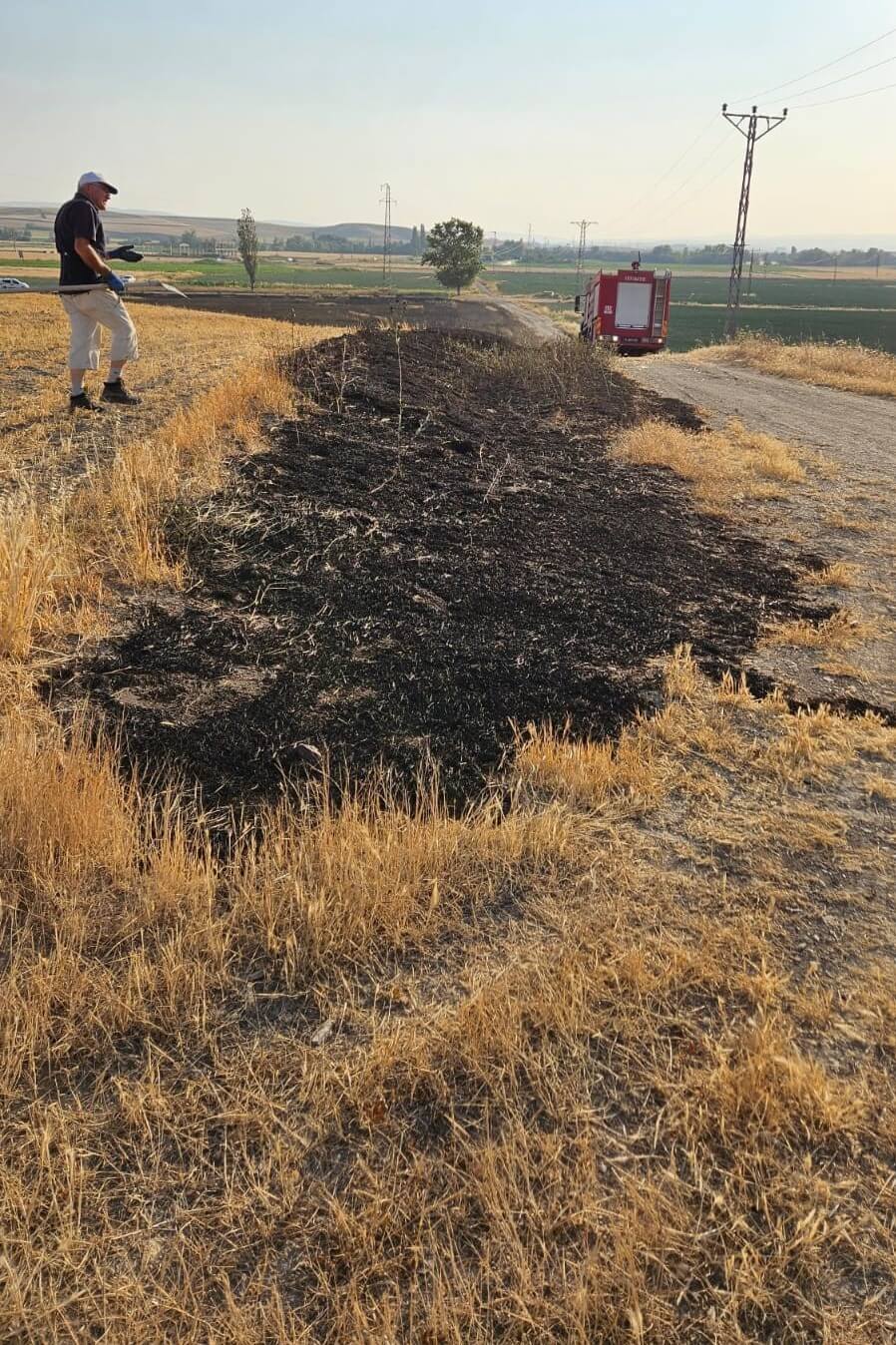 Alaca ilçesinde çıkan yangında 15 dönümlük buğday ekili alan zarar gördü (2)