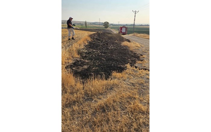 Alaca ilçesinde çıkan yangında 15 dönümlük buğday ekili alan zarar gördü (2)