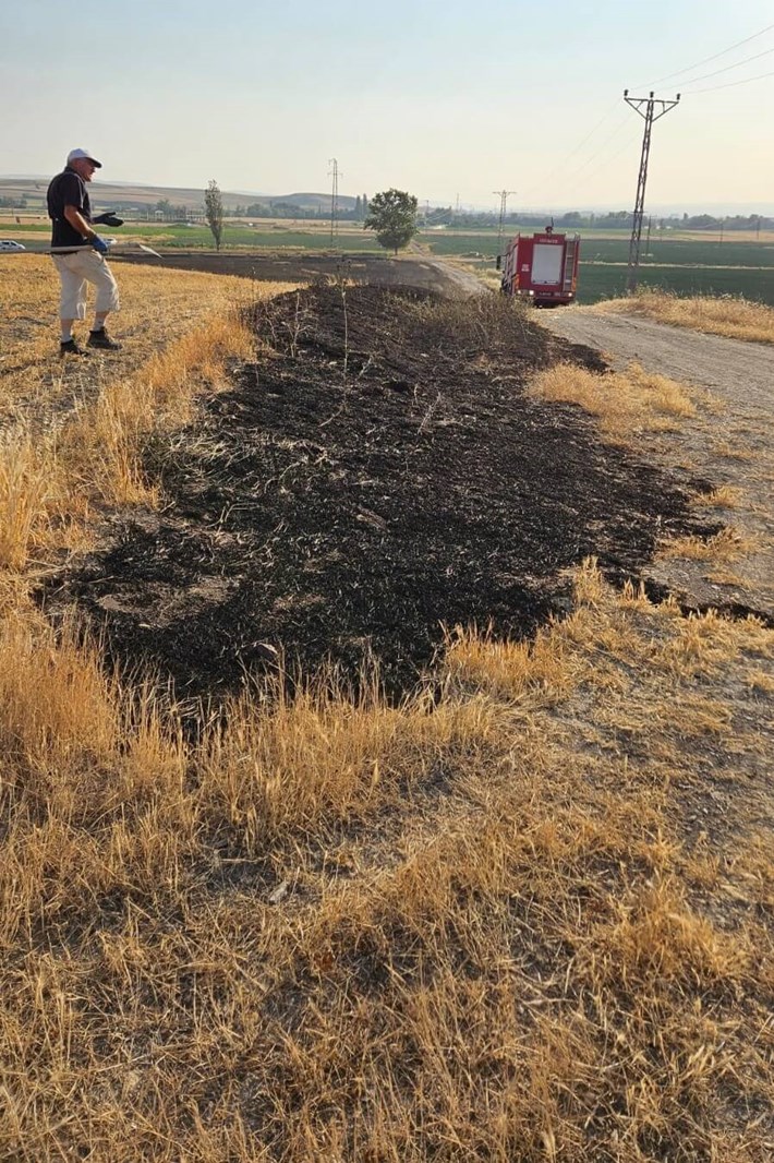 Alaca ilçesinde çıkan yangında 15 dönümlük buğday ekili alan zarar gördü (2)