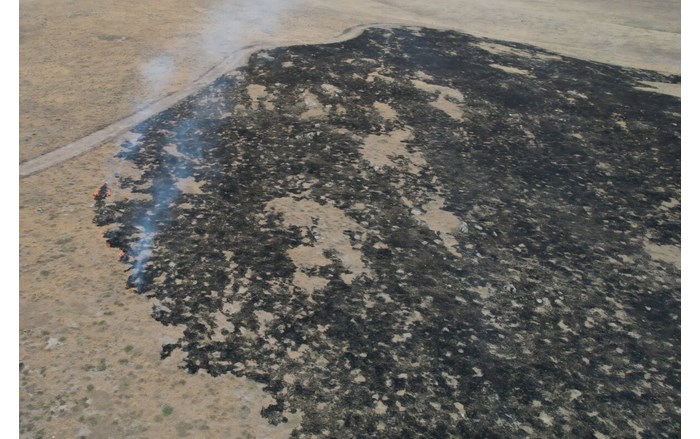 Alaca ilçesinde çıkan yangında yaklaşık 250 dönüm otluk alan zarar gördü (1)