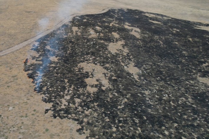 Alaca ilçesinde çıkan yangında yaklaşık 250 dönüm otluk alan zarar gördü (1)