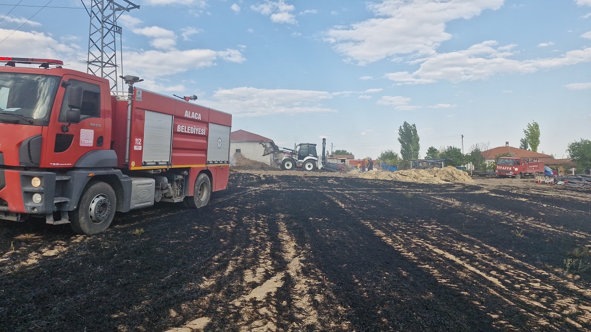 Alaca ilçesinde elektrik direğinden çıkan kıvılcımlar, 3 ayrı noktada yangına sebep oldu (2)