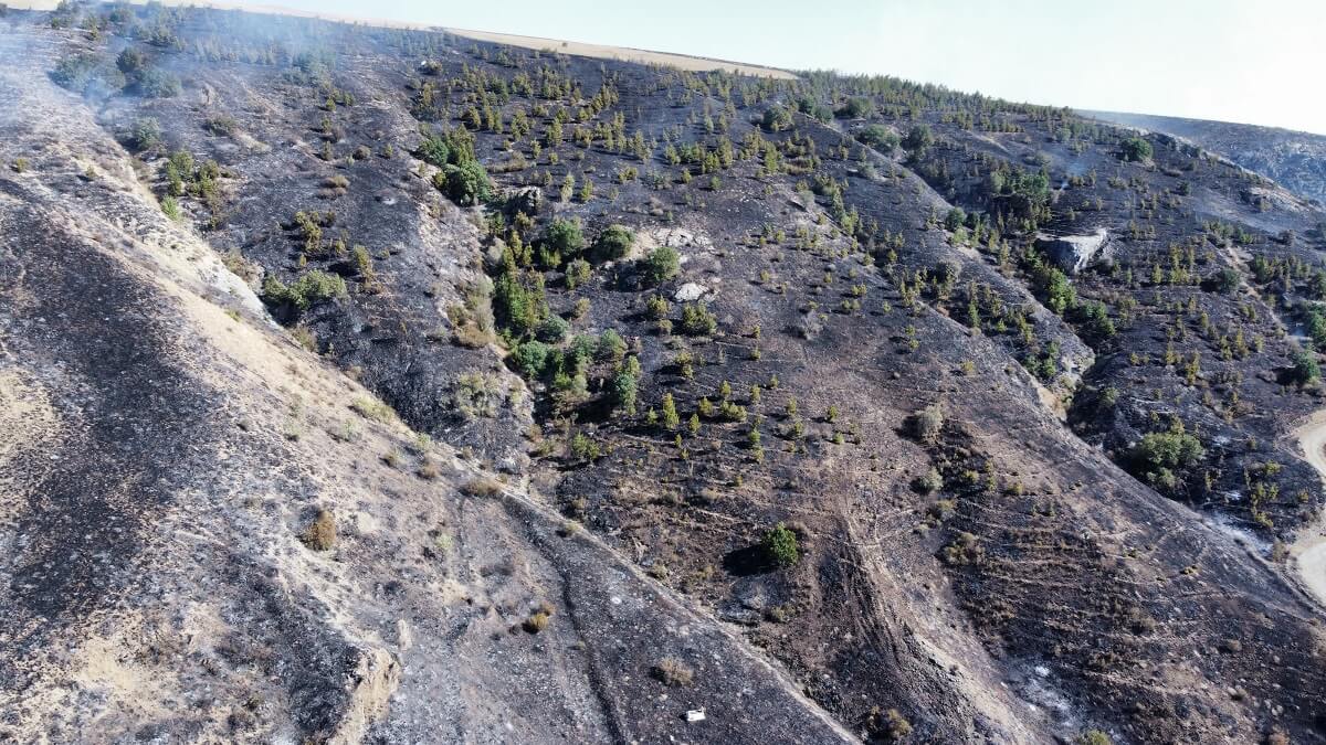 Alaca ilçesinde otluk alanda çıkan ve ormana sıçrayan yangın, itfaiye ekipleri tarafından kontrol altına alındı (1)