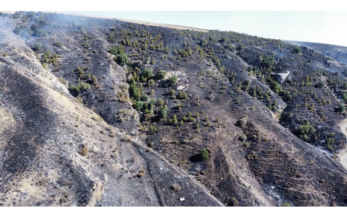 Alaca ilçesinde otluk alanda çıkan ve ormana sıçrayan yangın, itfaiye ekipleri tarafından kontrol altına alındı (1)