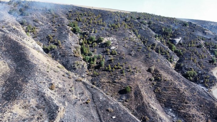 Alaca ilçesinde otluk alanda çıkan ve ormana sıçrayan yangın, itfaiye ekipleri tarafından kontrol altına alındı (1)