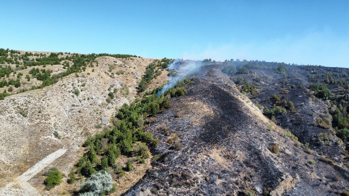 Alaca ilçesinde otluk alanda çıkan ve ormana sıçrayan yangın, itfaiye ekipleri tarafından kontrol altına alındı (2)