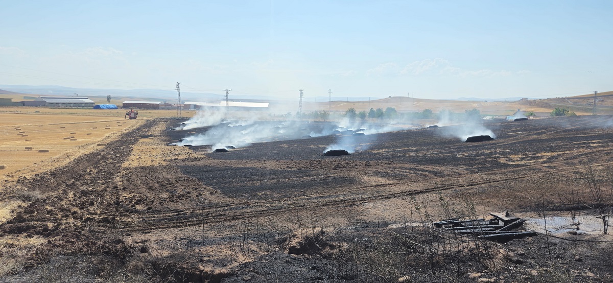 Alaca ilçesinde, tarlada çıkan yangın neticesinde 150 balya ile 20 dönüm tarlada hasar meydana geldi (2)