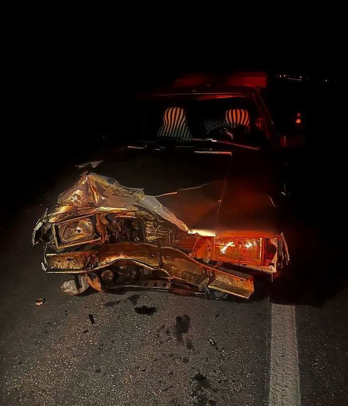 Alaca ilçesinde yola çıkan domuza çarpan otomobil kullanılamaz hale geldi (2)