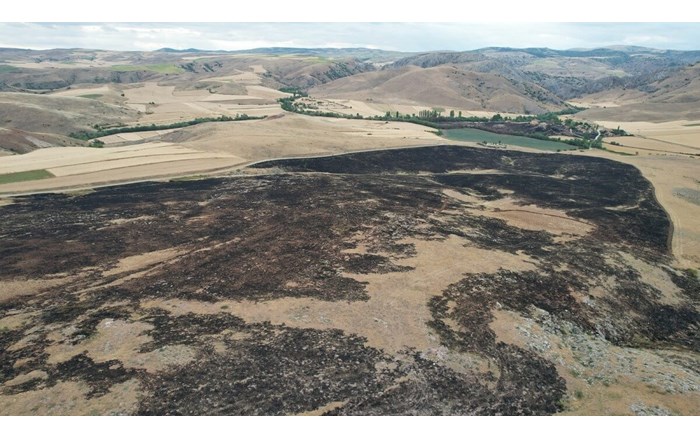 Alaca ilçesine bağlı Geven köyünde çıkan yangın, rüzgarın da etkisiyle kısa sürede geniş bir alana yayıldı
