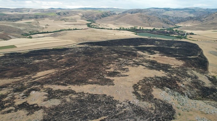 Alaca ilçesine bağlı Geven köyünde çıkan yangın, rüzgarın da etkisiyle kısa sürede geniş bir alana yayıldı