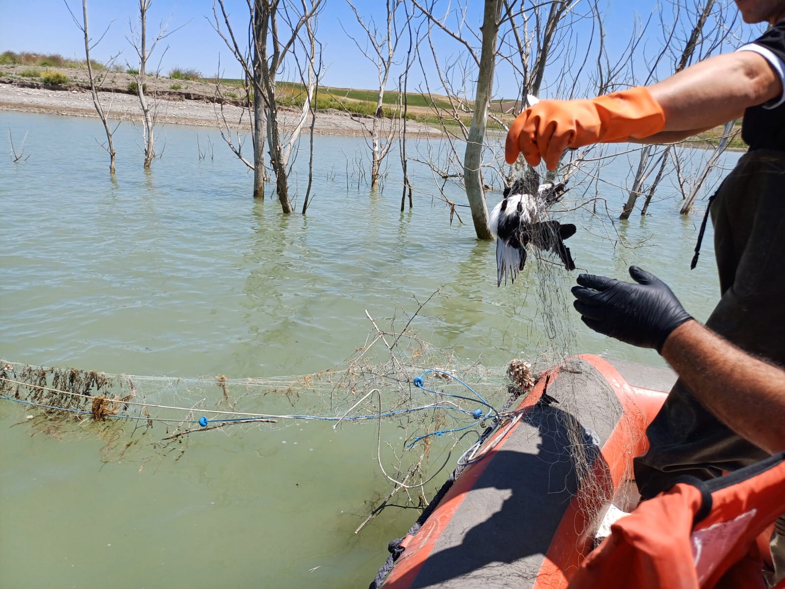 Amatör balıkçılık kurallarına aykırı davranan kişilere ise idari işlem uygulandı (2)