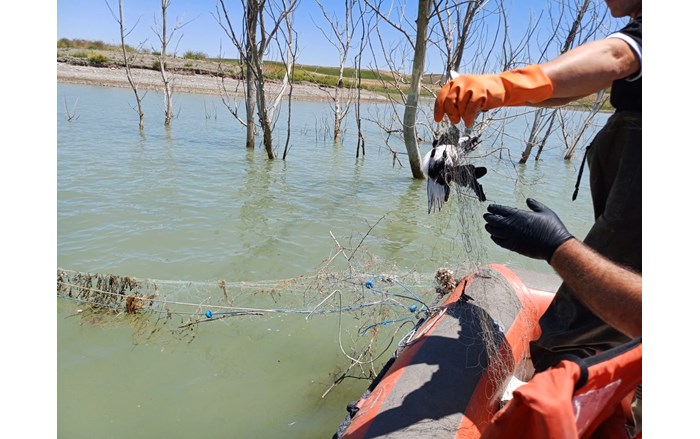 Amatör balıkçılık kurallarına aykırı davranan kişilere ise idari işlem uygulandı (2)