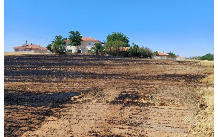 Anız yangını, Alaca İlçesi Denizhan Mahallesinde yaşandı