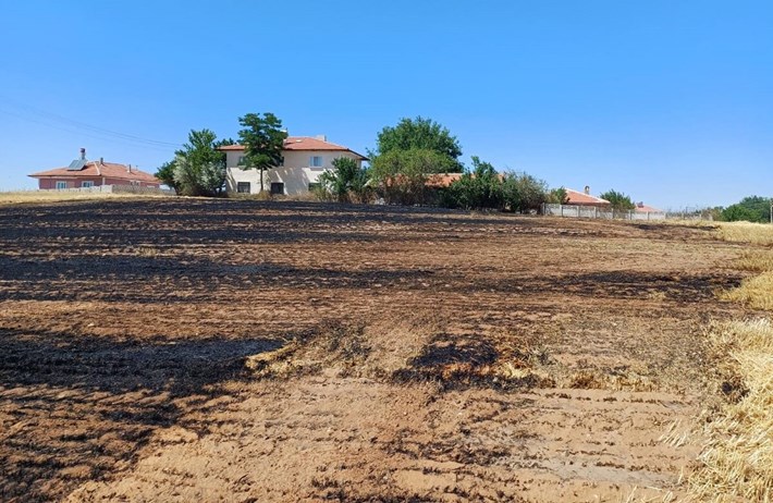 Anız yangını, Alaca İlçesi Denizhan Mahallesinde yaşandı