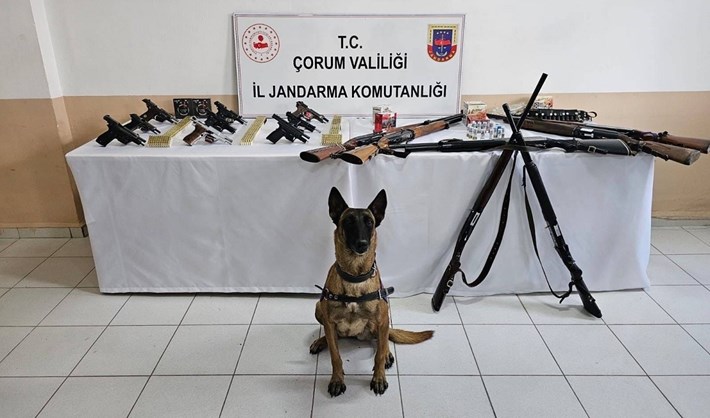 Aramalarda 9 adet tabanca, 7 adet av tüfeği, 918 adet tabanca fişeği ve 283 adet av tüfeği fişeği ele geçirildi.