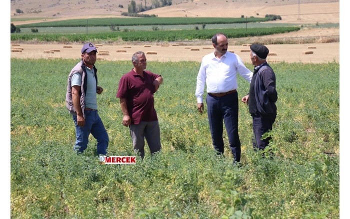 Çorum çiftçisi kuraklıktan zarar gördü