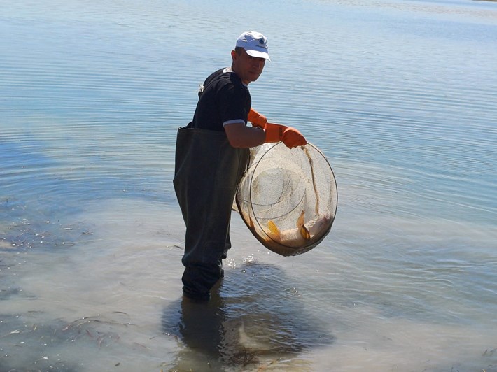 Çorum İl Tarım ve Orman Müdürlüğümüz teknik personeli tarafından Alaca Koçhisar Barajı'nda denetim yapıldı