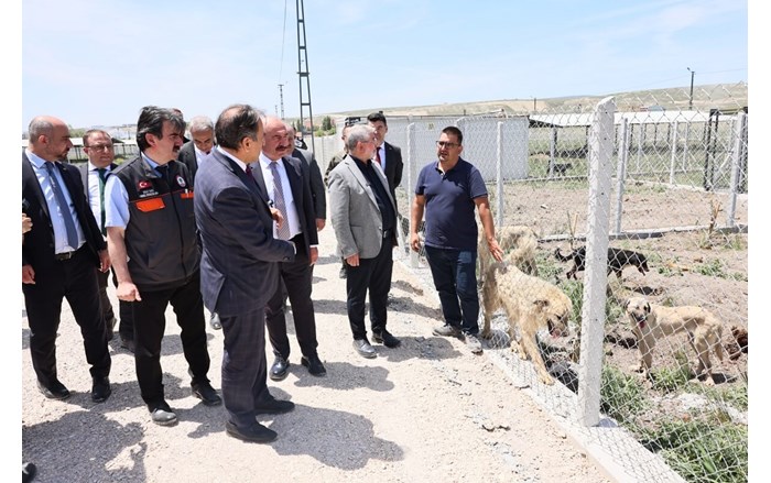 Çorum'da sahipsiz hayvanlar, güvenli bir yaşam alanına kavuşuyor (2)