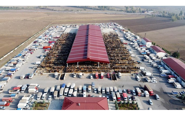 Çorum'da tüm hayvan pazarları kapatıldı (1)