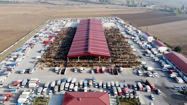 Çorum'da tüm hayvan pazarları kapatıldı (1)