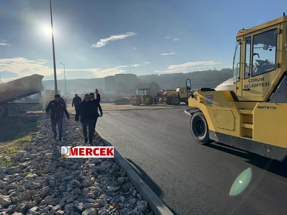 Diş Hastanesi yolunda asfalt çalışması başladı (2)