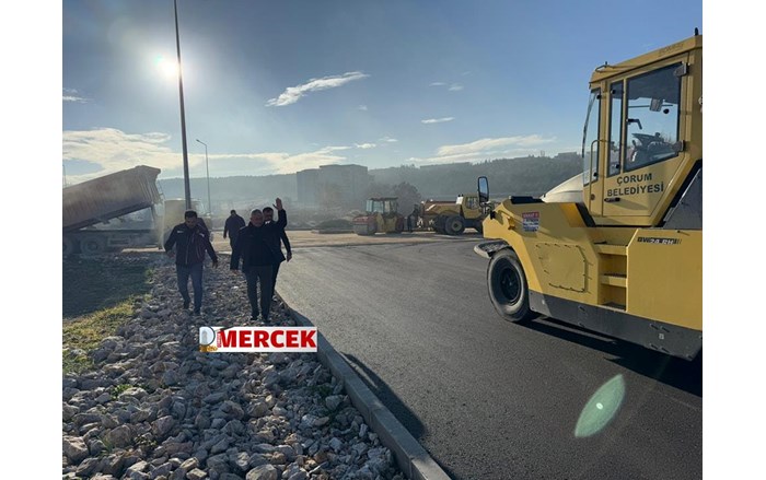 Diş Hastanesi yolunda asfalt çalışması başladı (2)