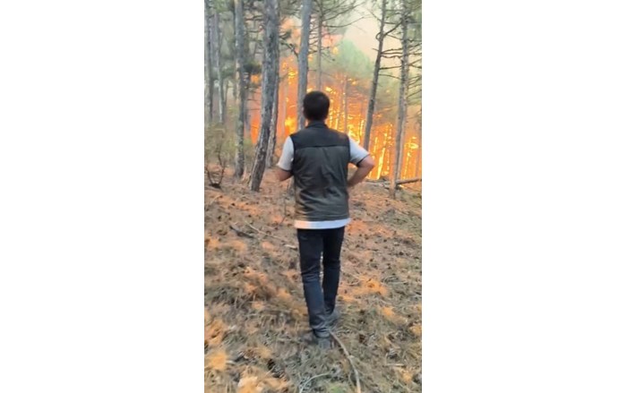 Eskişehir'in Seyitgazi ilçesinde çıkan orman yangınını söndürme çalışmaları sırasında alevlerin arasında kalan 5'i orman iççisi, 5'i AKUT gönüllüsü olmak üzere 10 kişi şehit oldu (3)