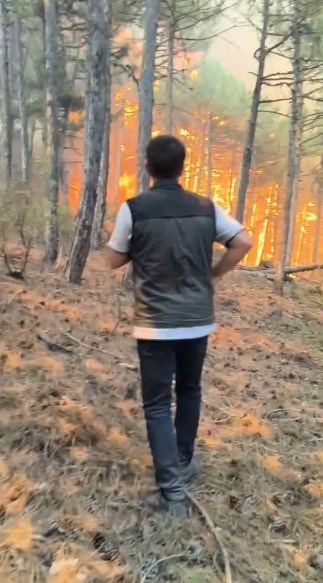 Eskişehir'in Seyitgazi ilçesinde çıkan orman yangınını söndürme çalışmaları sırasında alevlerin arasında kalan 5'i orman iççisi, 5'i AKUT gönüllüsü olmak üzere 10 kişi şehit oldu (3)