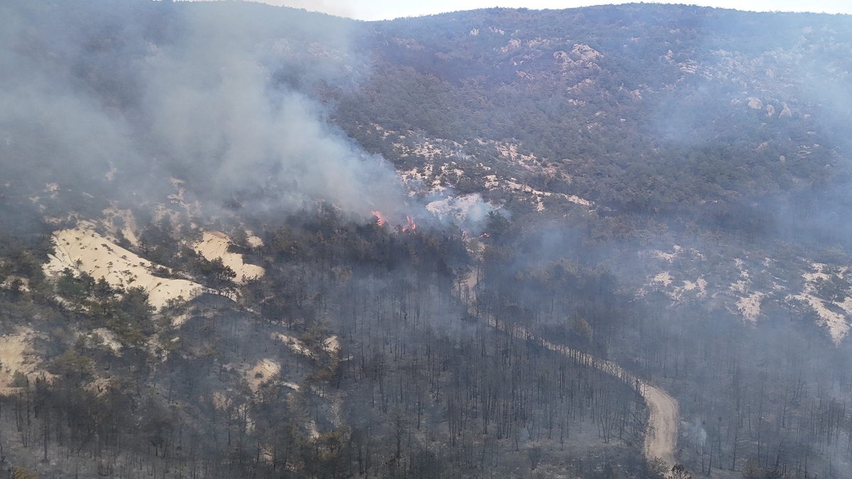 Eskişehir'in Seyitgazi ilçesinde çıkan orman yangınını söndürme çalışmaları sırasında alevlerin arasında kalan 5'i orman iççisi, 5'i AKUT gönüllüsü olmak üzere 10 kişi şehit oldu (4)