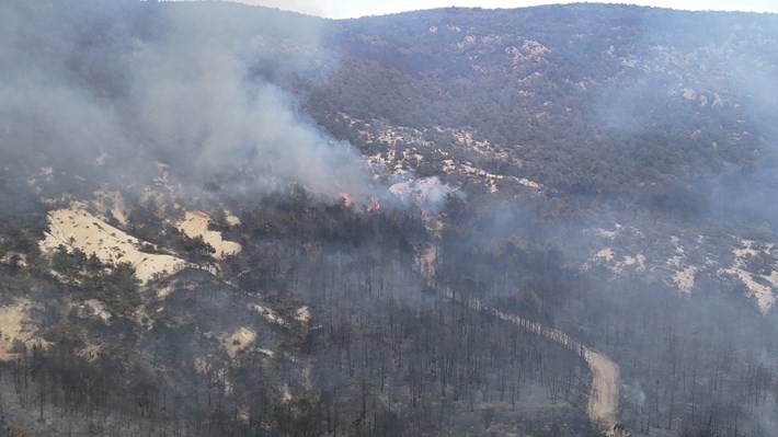Eskişehir'in Seyitgazi ilçesinde çıkan orman yangınını söndürme çalışmaları sırasında alevlerin arasında kalan 5'i orman iççisi, 5'i AKUT gönüllüsü olmak üzere 10 kişi şehit oldu (4)