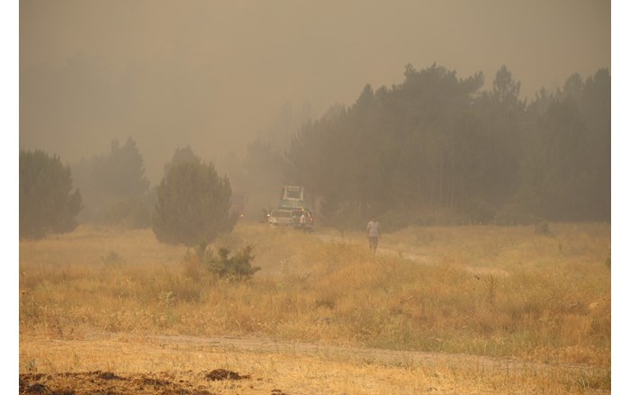 Eskişehir'in Seyitgazi ilçesinde çıkan orman yangınını söndürme çalışmaları sırasında alevlerin arasında kalan 5'i orman iççisi, 5'i AKUT gönüllüsü olmak üzere 10 kişi şehit oldu (6)