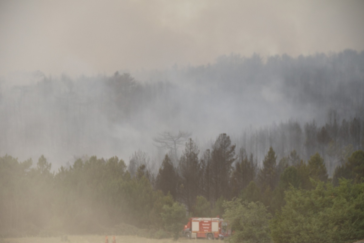 Eskişehir'in Seyitgazi ilçesinde çıkan orman yangınını söndürme çalışmaları sırasında alevlerin arasında kalan 5'i orman iççisi, 5'i AKUT gönüllüsü olmak üzere 10 kişi şehit oldu (7)