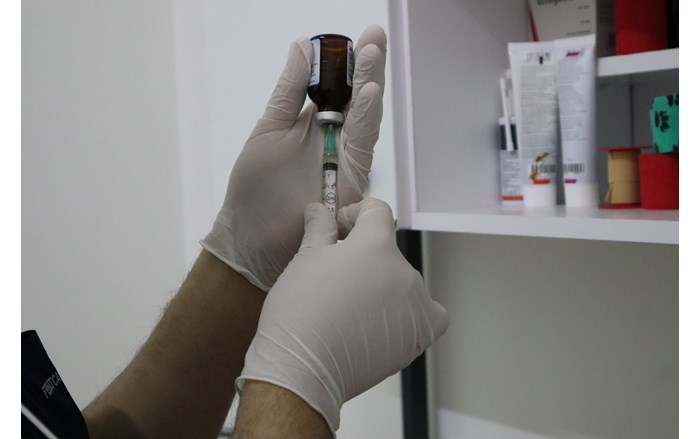 Evcil hayvanlarda iç ve dış parazit uygulamaları zamanında yapılmalı