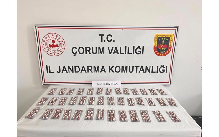 İki ayrı adreste yapılan aramalarda 4 bin 804 adet sentetik ecza uyuşturucu hap ele geçirildi. (2)