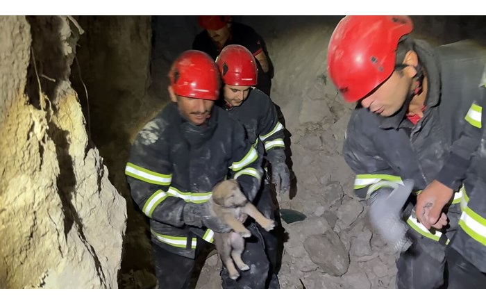 İtfaiye 2024’te 266 hayvanı kurtardı