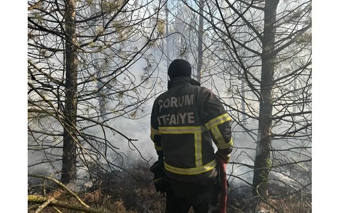 İtfaiye 2024’te 726 yangına müdahale etti (1)