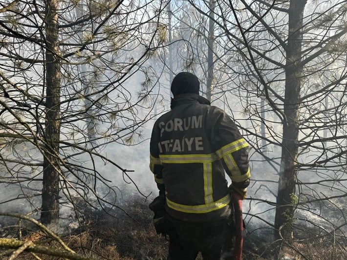 İtfaiye 2024’te 726 yangına müdahale etti (1)