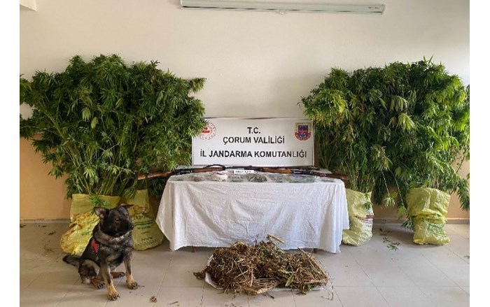 Jandarmadan zehir tacirlerine operasyon 2 tutuklama (1)