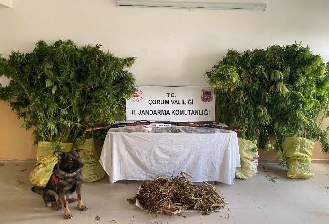 Jandarmadan zehir tacirlerine operasyon 2 tutuklama (1)