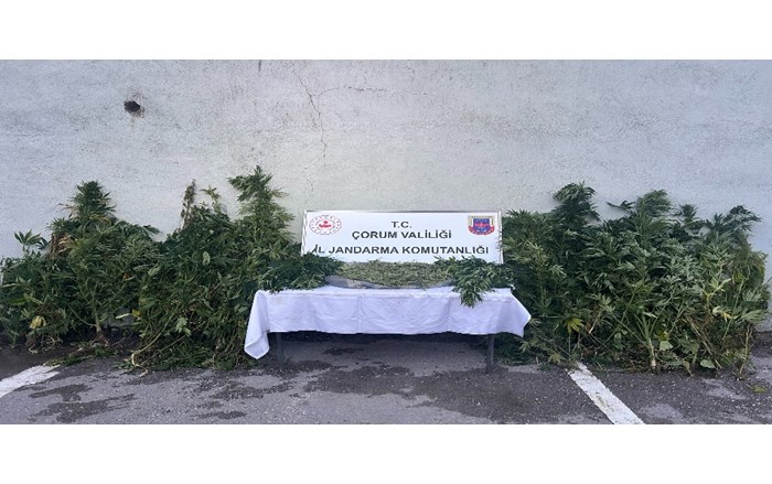 Jandarmadan zehir tacirlerine operasyon 2 tutuklama (2)