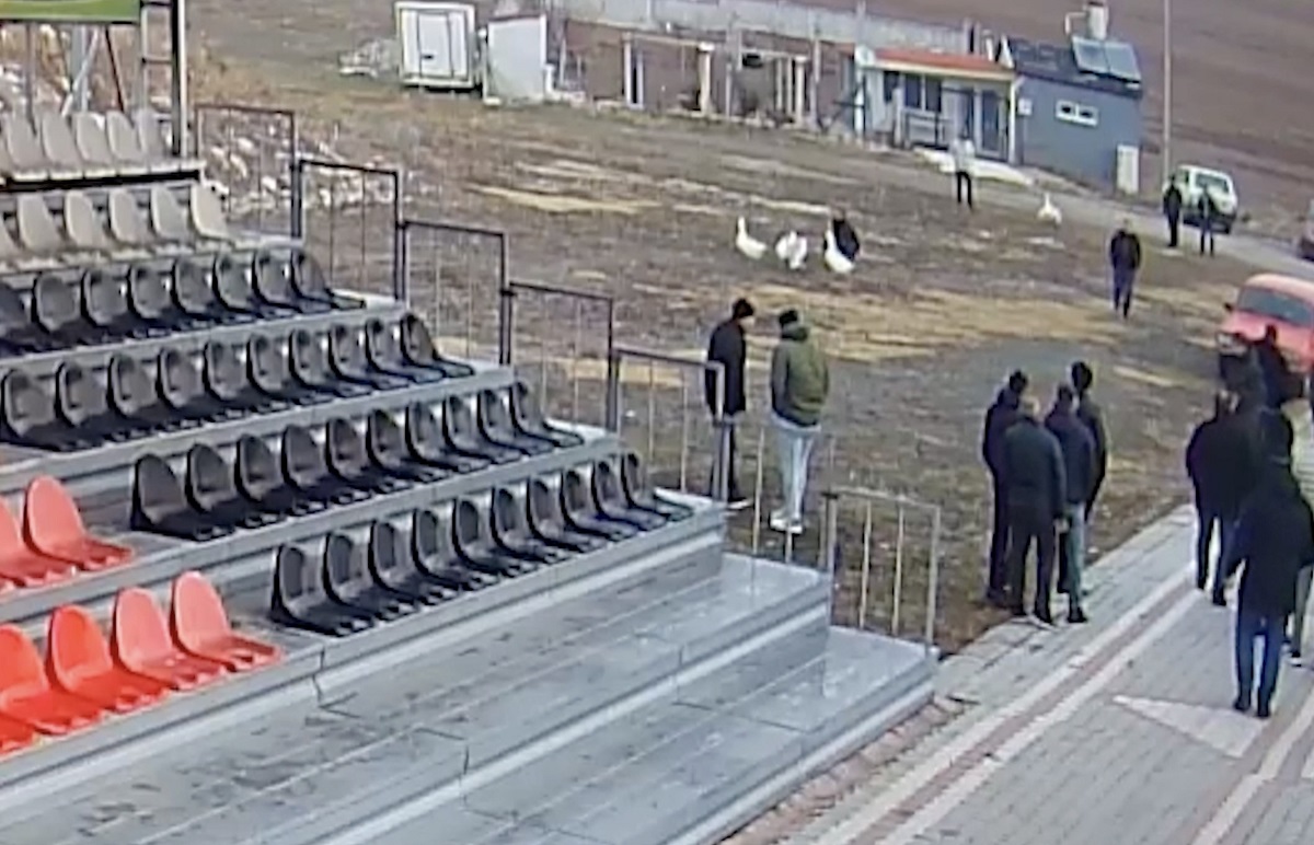 Kaz dövüştürenlere polis baskını