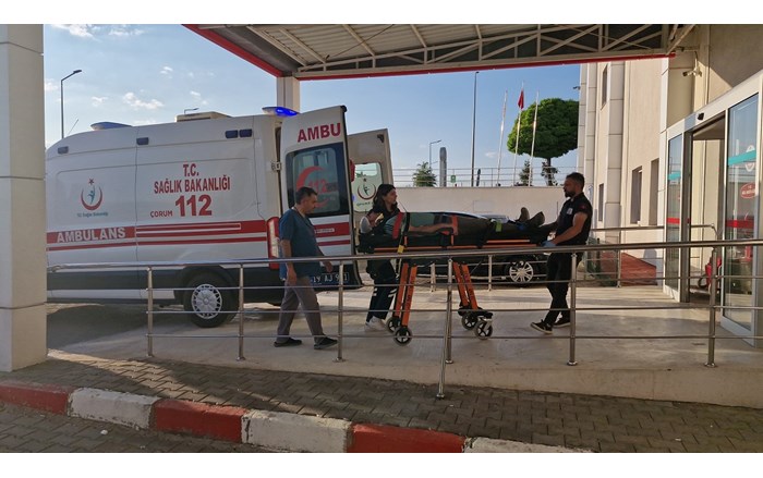 Kaza, Alaca ilçesine bağlı Akören köyünde meydana geldi (1)