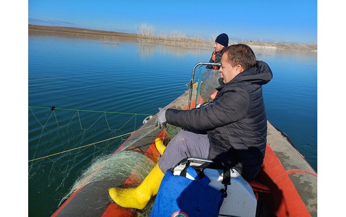 Koçhisar Barajında hayalet ağa takılan balıklar, tekrar suya salındı (3)